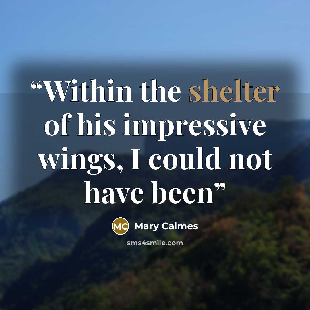 “Within the shelter of his impressive wings, I could not have been” quote by Mary Calmes
