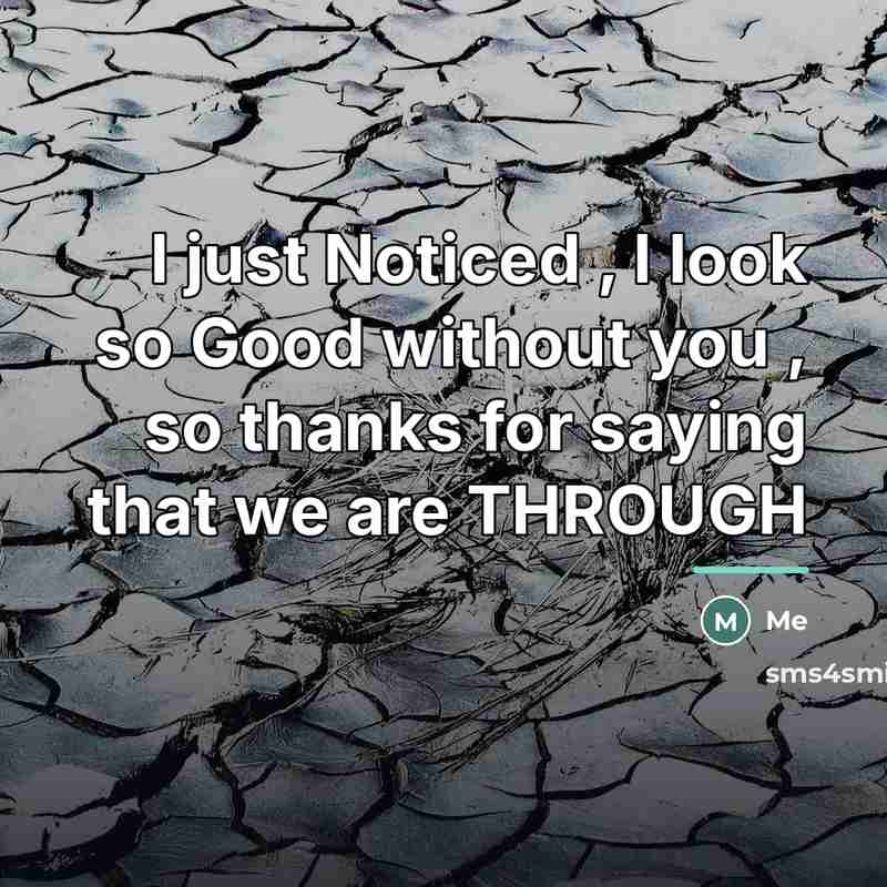 “I just Noticed , I look so Good without you…” quote by Me
