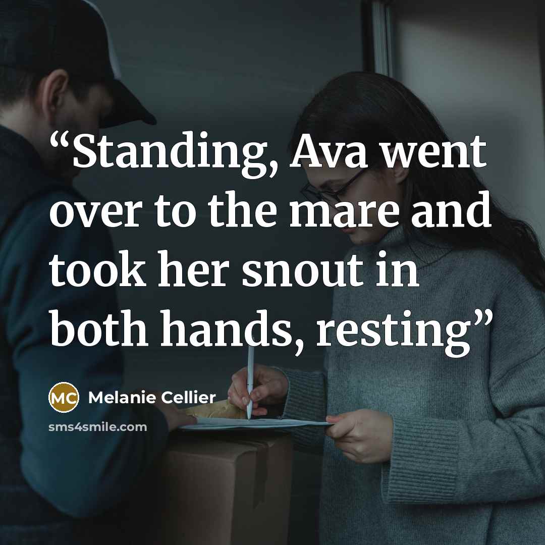 “Standing, Ava went over to the mare and took her snout in both hands, resting” quote by Melanie Cellier