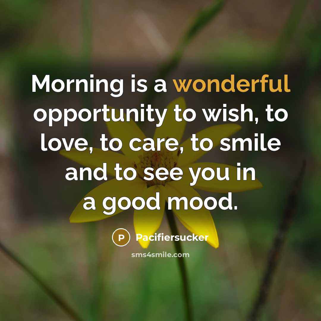 “Morning is a wonderful opportunity to wish, to love, to…” quote by Pacifiersucker