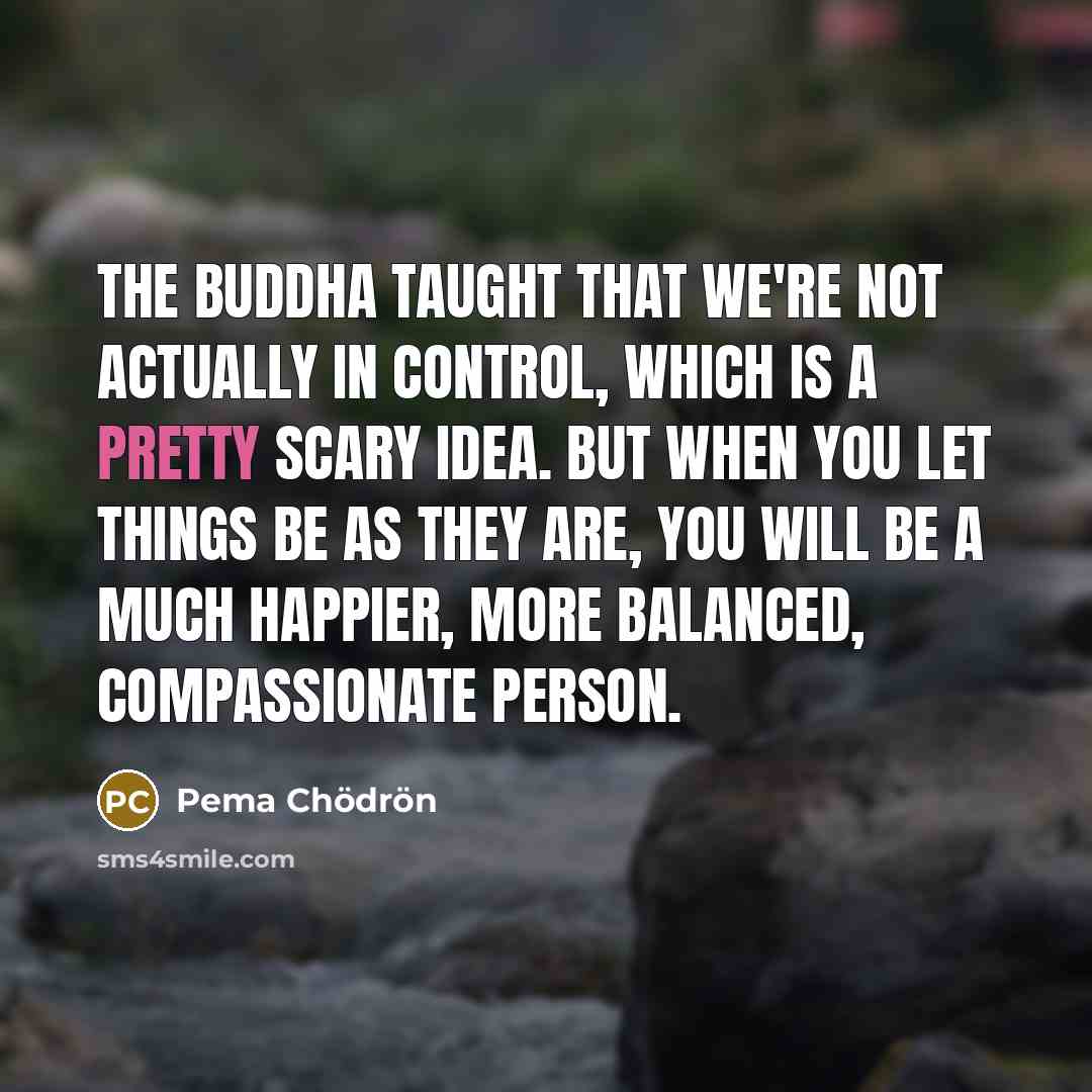 “The Buddha taught that we're not actually in control, which…” quote by Pema Chodron