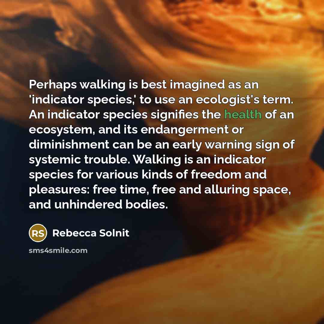 “Perhaps walking is best imagined as an 'indicator species,' to…” quote by Rebecca Solnit