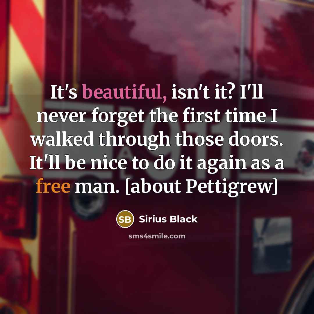 “It's beautiful, isn't it? I'll never forget the first time I walked through those doors. It'll be nice to do it again as a free man. [about Pettigrew]” quote by Sirius Black