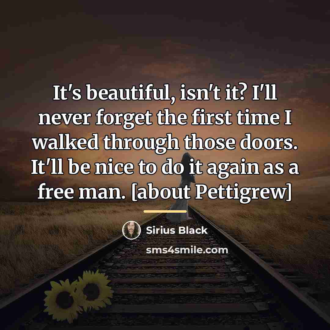 “It's beautiful, isn't it? I'll never forget the first time…” quote by Sirius Black