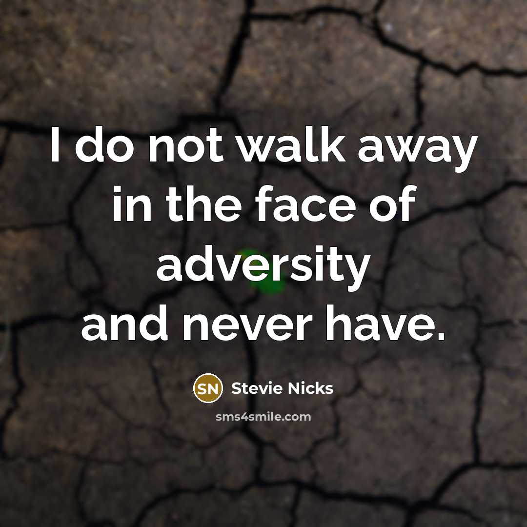 “I do not walk away in the face of adversity…” quote by Stevie Nicks