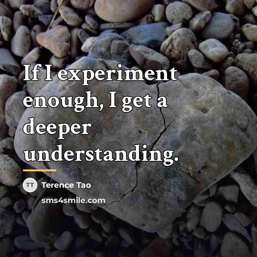 “If I experiment enough, I get a deeper understanding.…” quote by Terence Tao
