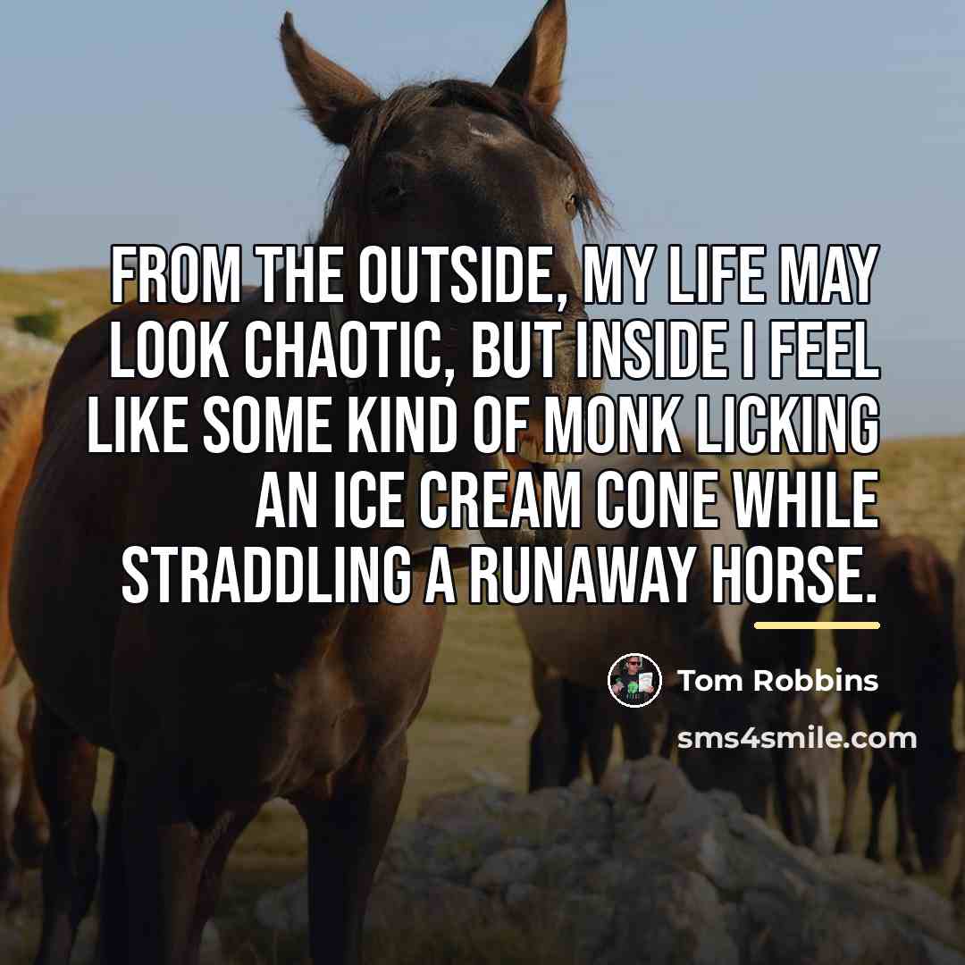 “From the outside, my life may look chaotic, but inside…” quote by Tom Robbins