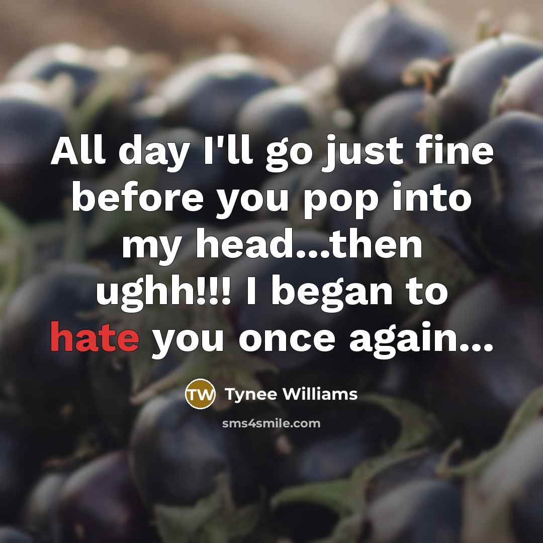 “All day I'll go just fine before you pop into my head...then ughh!!! I began to hate you once again...” quote by Tynee Williams