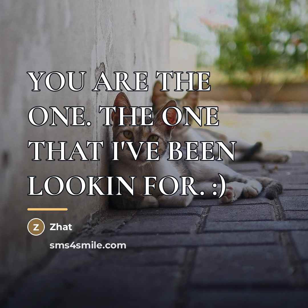 “YOU ARE THE ONE. THE ONE THAT I'VE BEEN LOOKIN…” quote by Zhat
