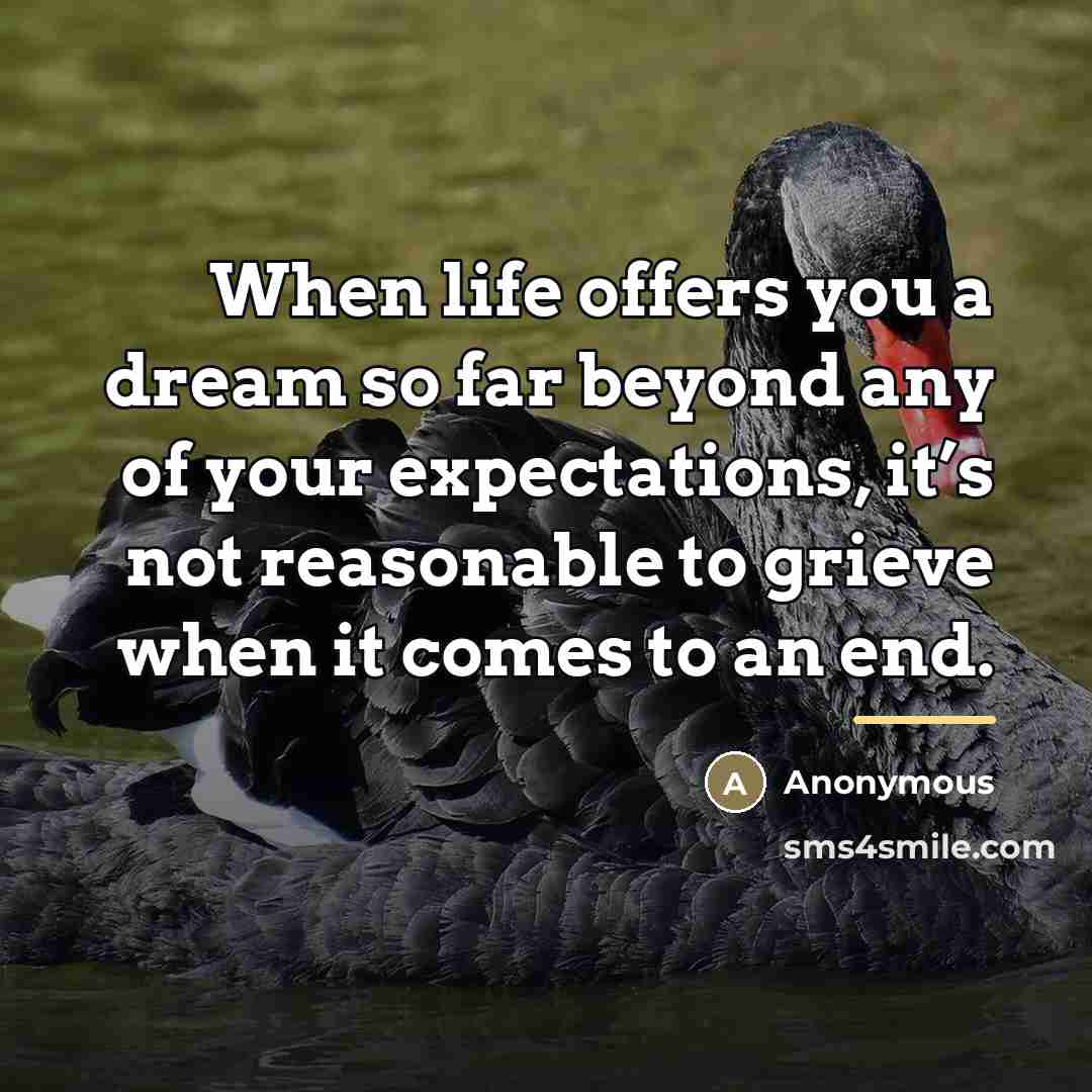 “When life offers you a dream so far beyond any…” quote by Anonymous