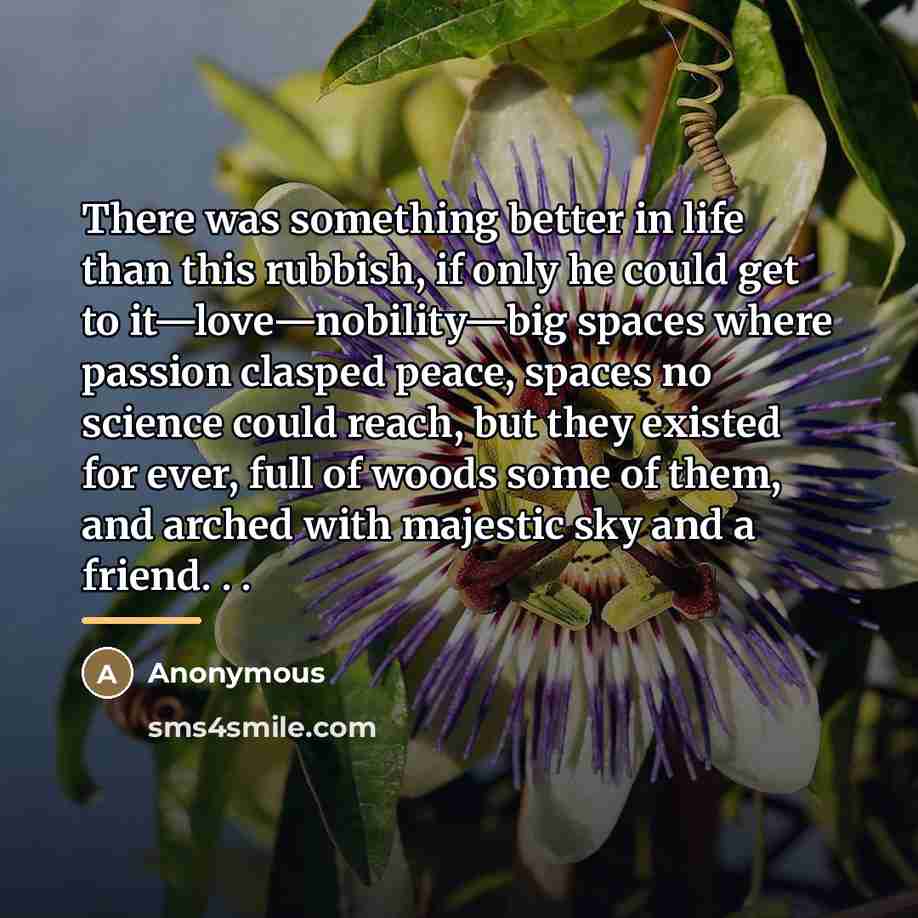 “There was something better in life than this rubbish, if…” quote by Anonymous