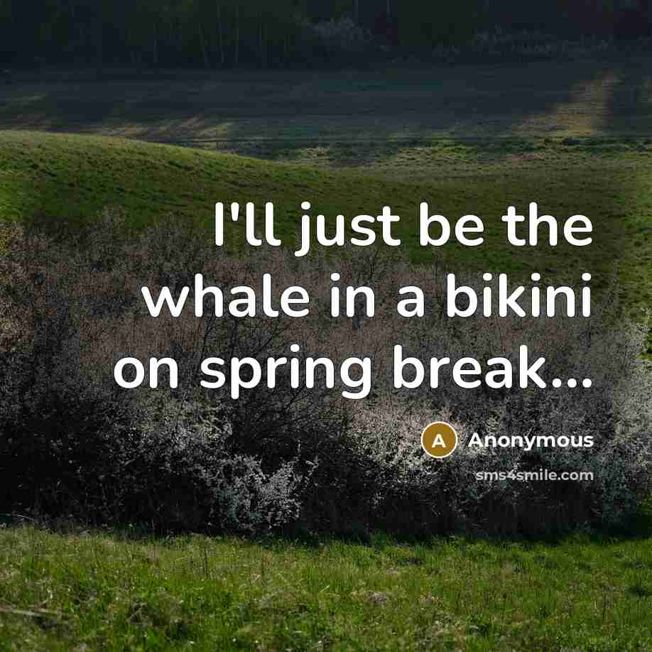 “I'll just be the whale in a bikini on spring break…” quote by Anonymous