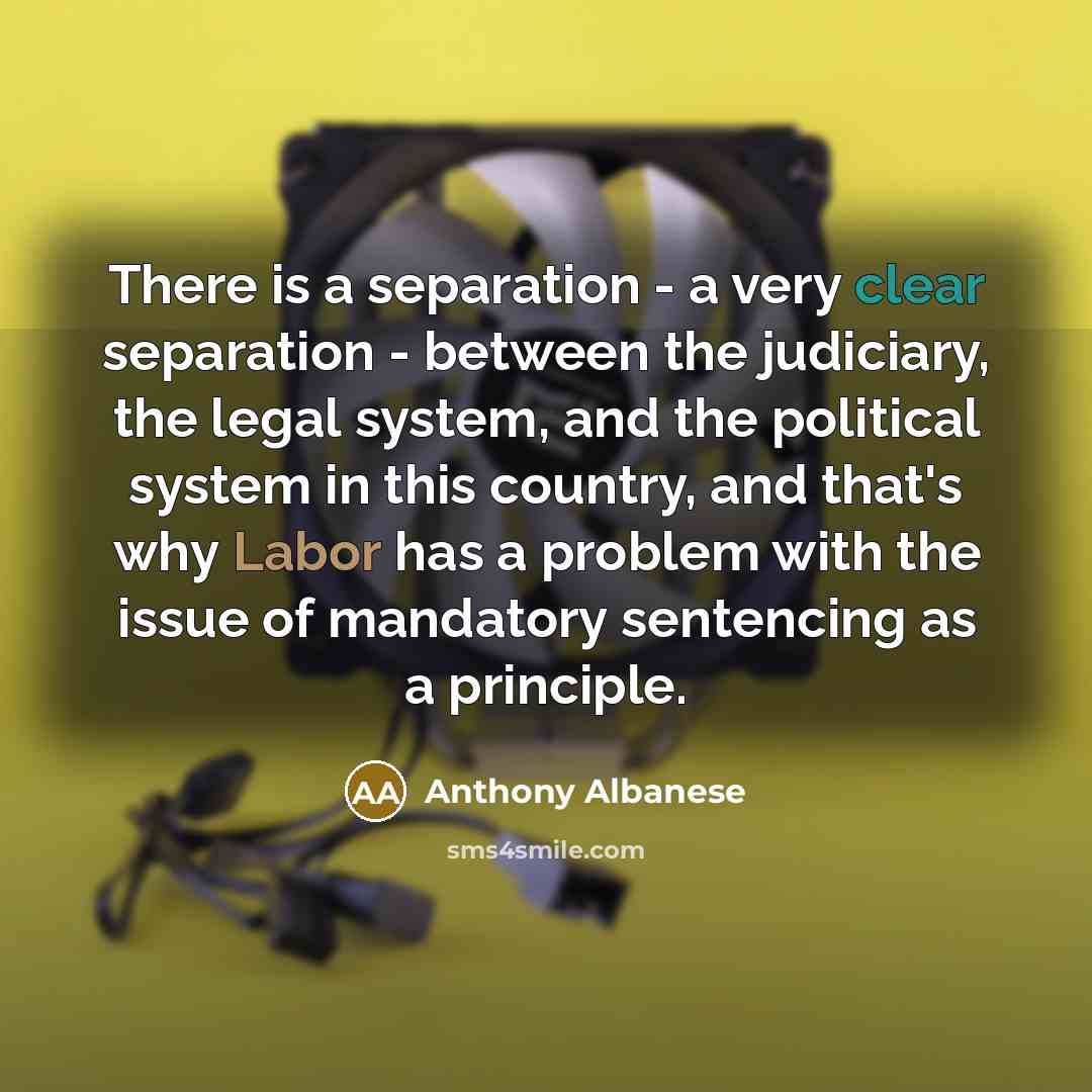 “There is a separation - a very clear separation - between the judiciary, the legal system, and the political system in this country, and that's why Labor has a problem with the issue of mandatory sentencing as a principle.” quote by Anthony Albanese