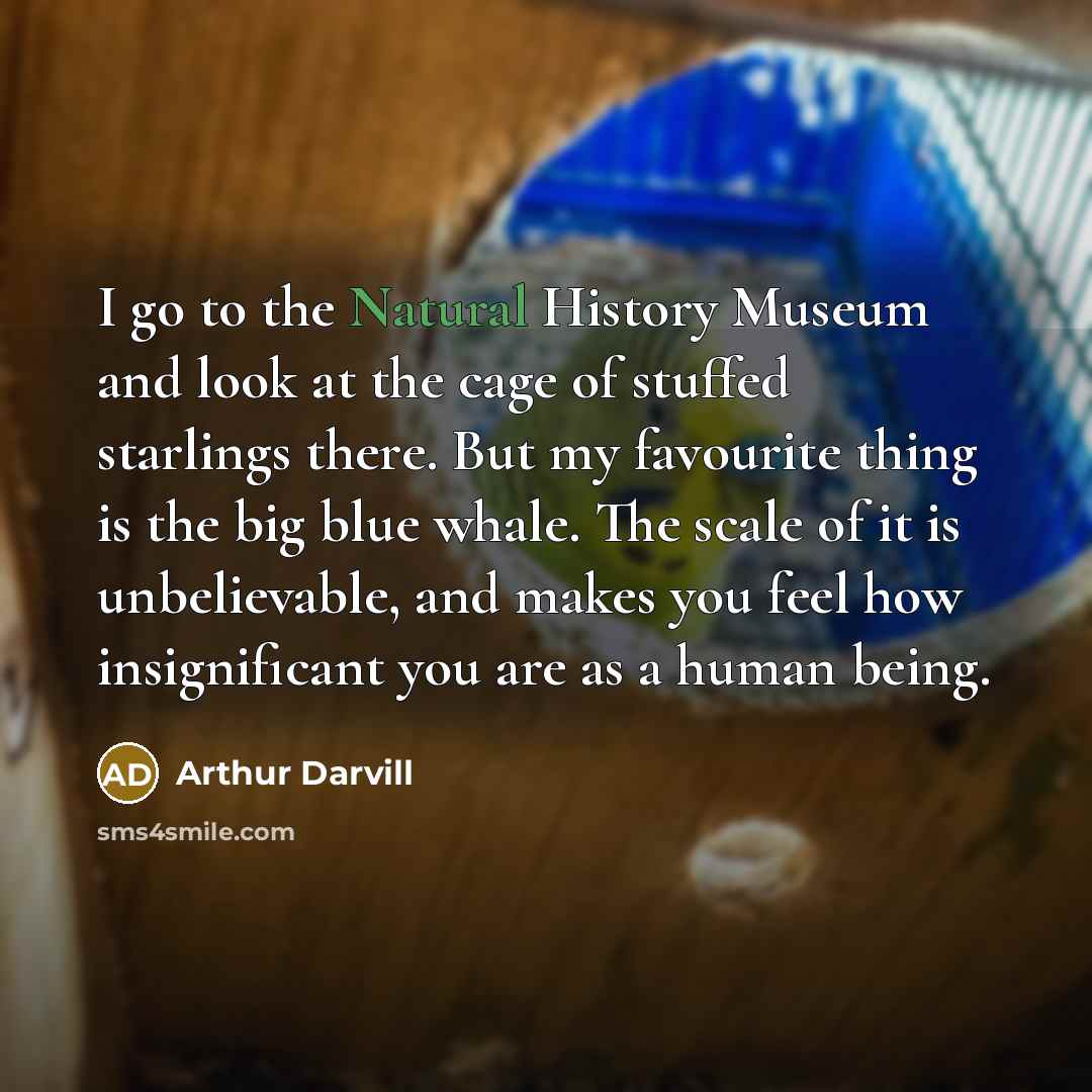 “I go to the Natural History Museum and look at…” quote by Arthur Darvill