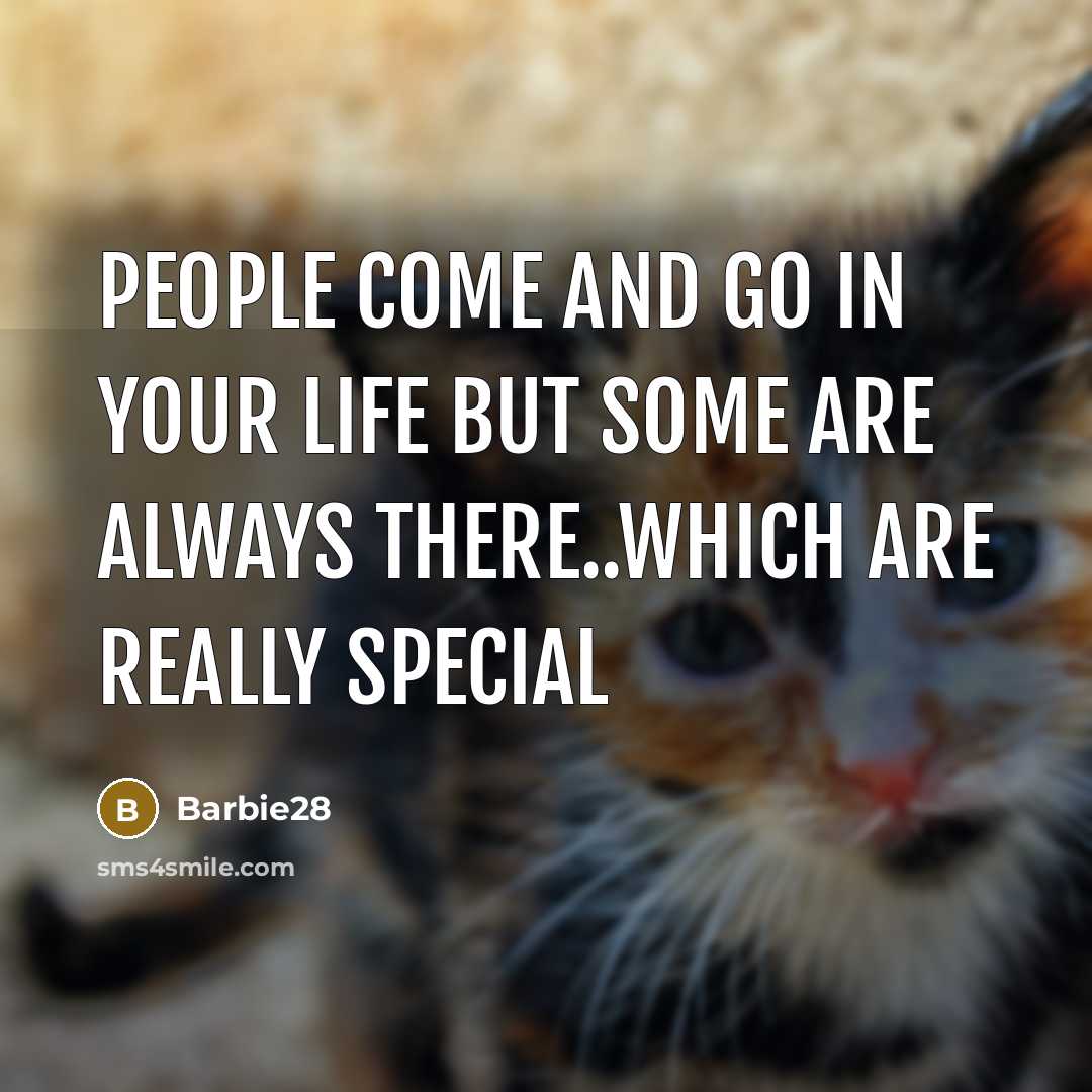 “People come and go in your life but some are always there..which are really special” quote by Barbie28