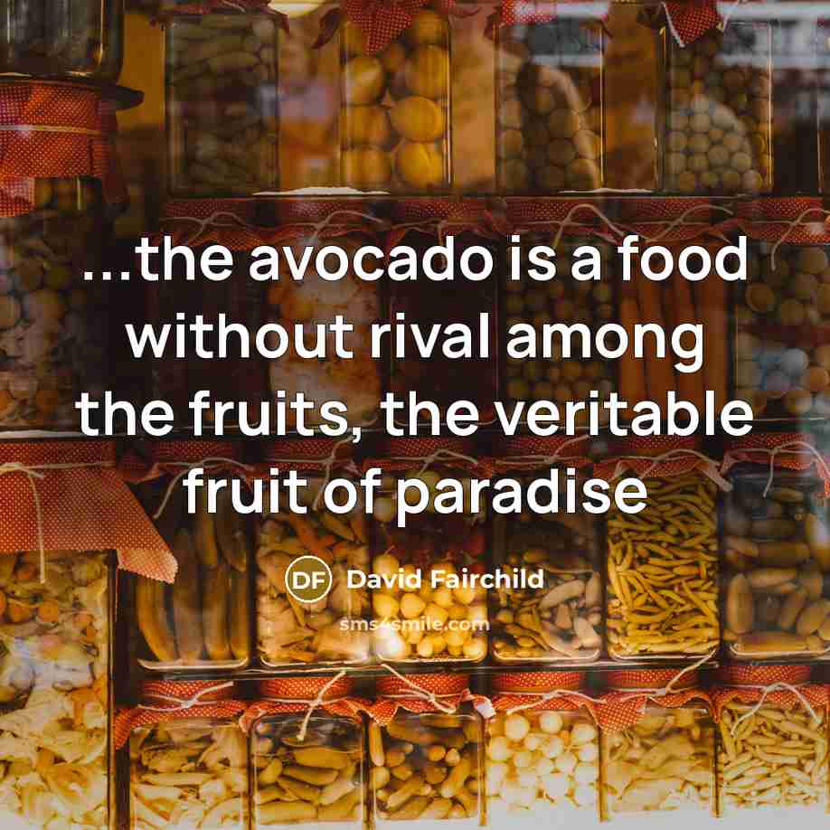 “...the avocado is a food without rival among the fruits,…” quote by David Fairchild
