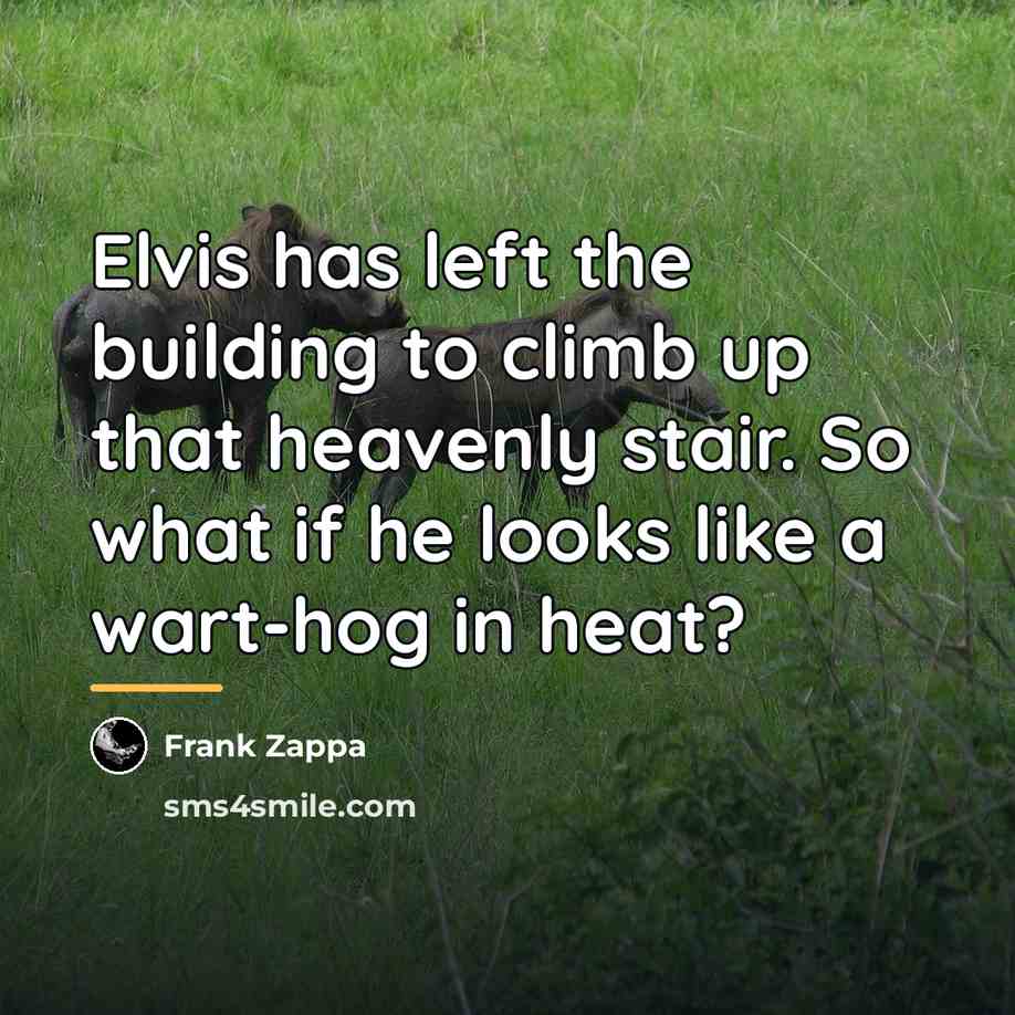 “Elvis has left the building to climb up that heavenly…” quote by Frank Zappa