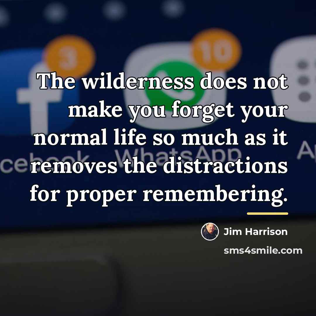 “The wilderness does not make you forget your normal life…” quote by Jim Harrison