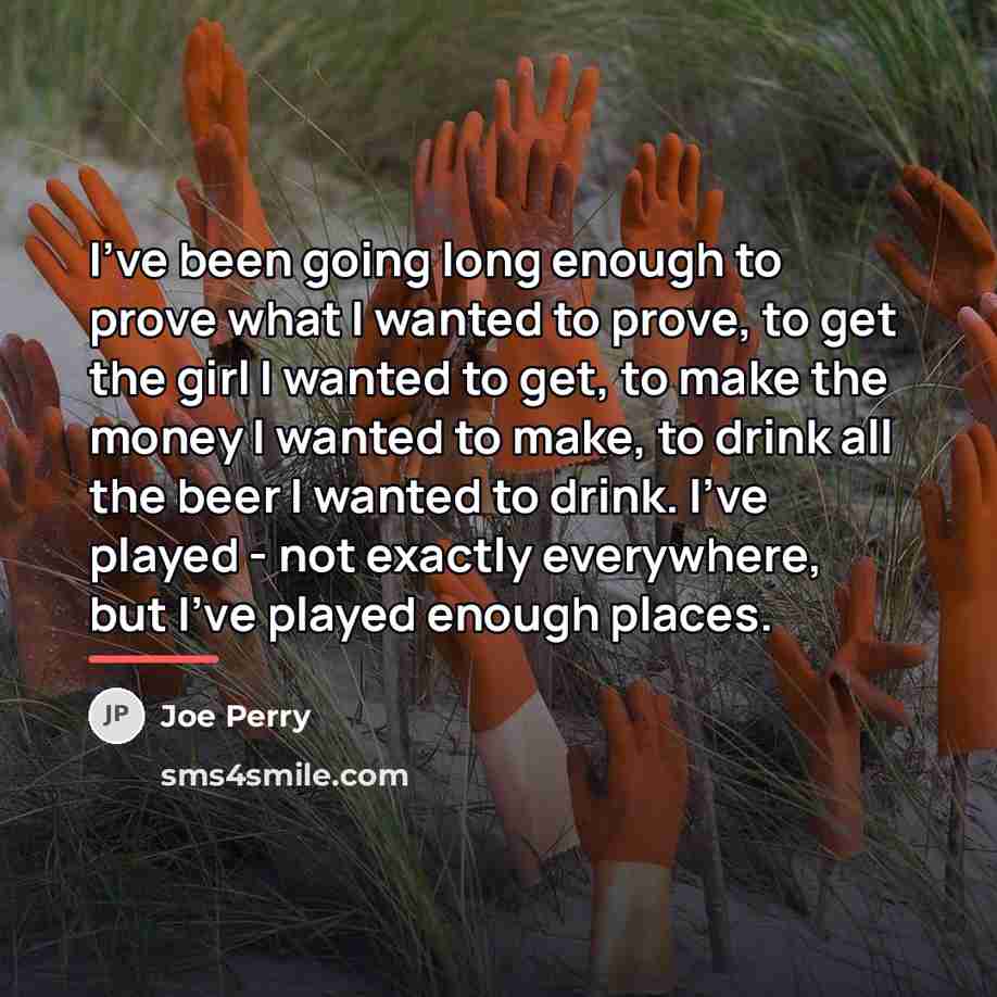 “I've been going long enough to prove what I wanted…” quote by Joe Perry