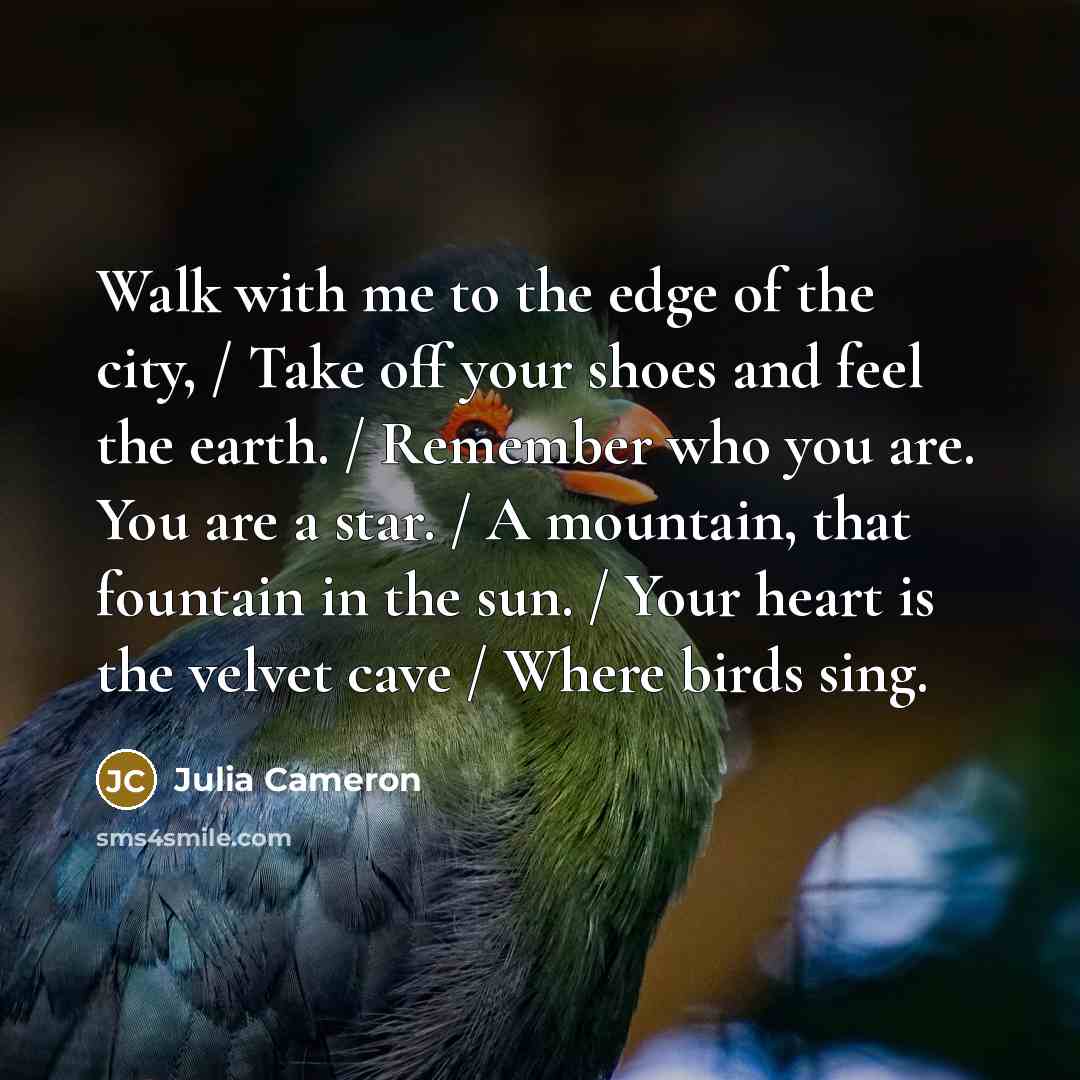 “Walk with me to the edge of the city, /…” quote by Julia Cameron
