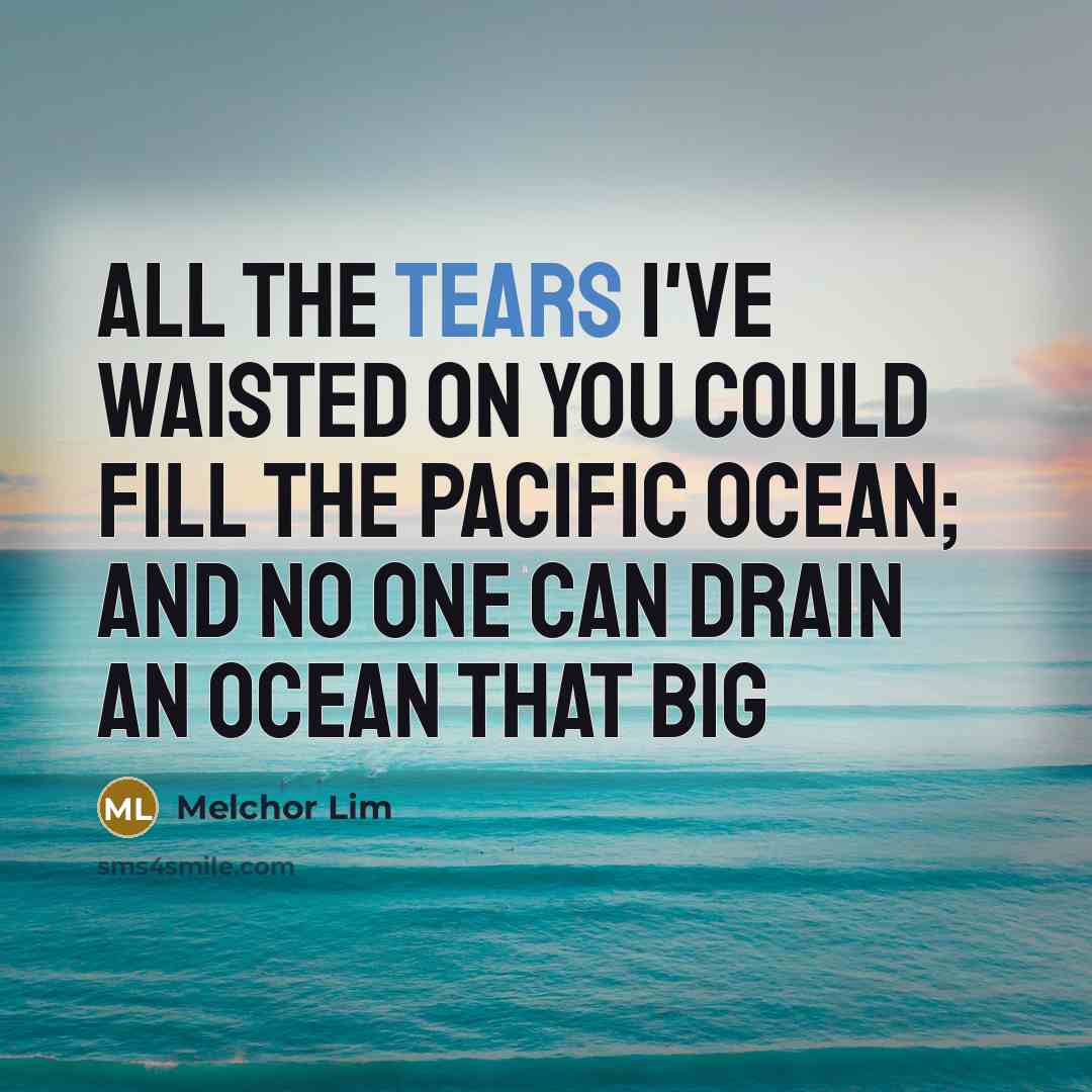 “All the tears I've waisted on you could fill the…” quote by Melchor Lim