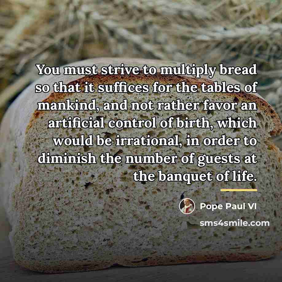 “You must strive to multiply bread so that it suffices…” quote by Pope Paul VI
