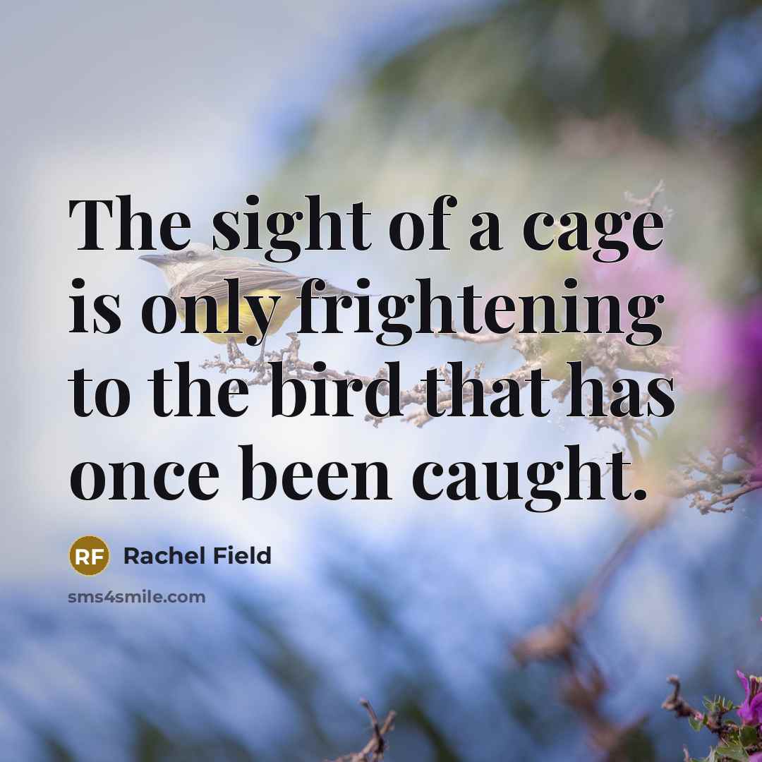 “The sight of a cage is only frightening to the…” quote by Rachel Field