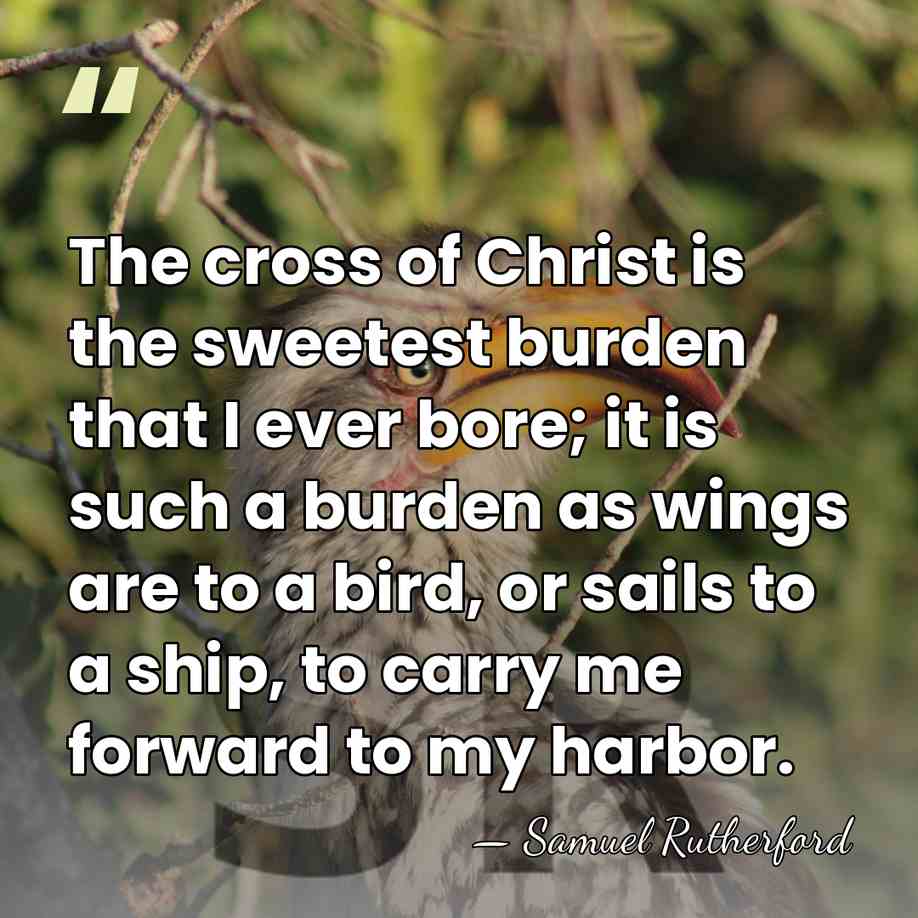 The cross of Christ is the sweetest burden that I ever bore;&hellip; - Samuel Rutherford