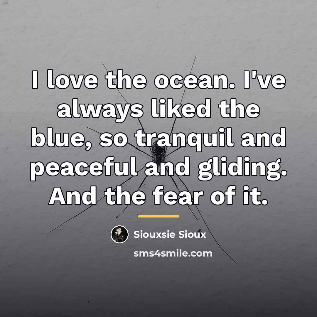 “I love the ocean. I've always liked the blue, so…” quote by Siouxsie Sioux