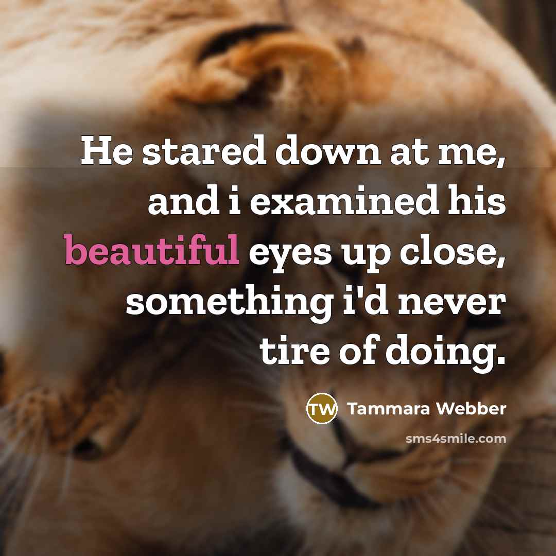 “He stared down at me, and i examined his beautiful…” quote by Tammara Webber