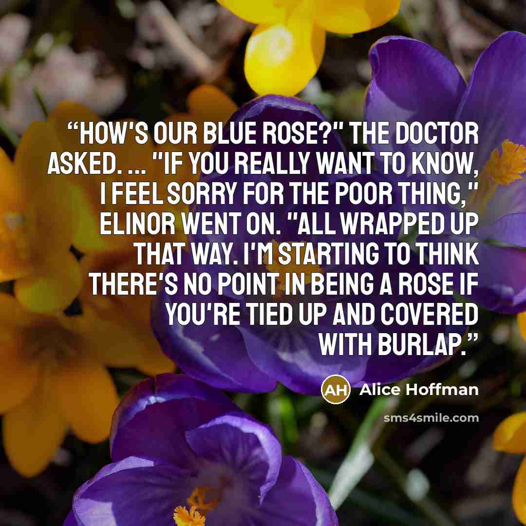 “How's our blue rose?" the doctor asked. ... "If you really want to know, I feel sorry for the poor thing," Elinor went on. "All wrapped up that way. I'm starting to think there's no point in being a rose if you're tied up and covered with burlap.” quote by Alice Hoffman