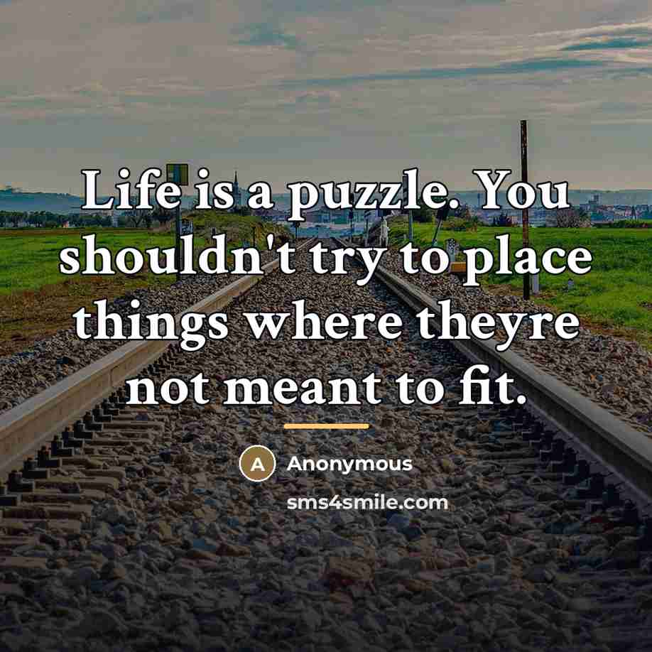“Life is a puzzle. You shouldn't try to place things…” quote by Anonymous