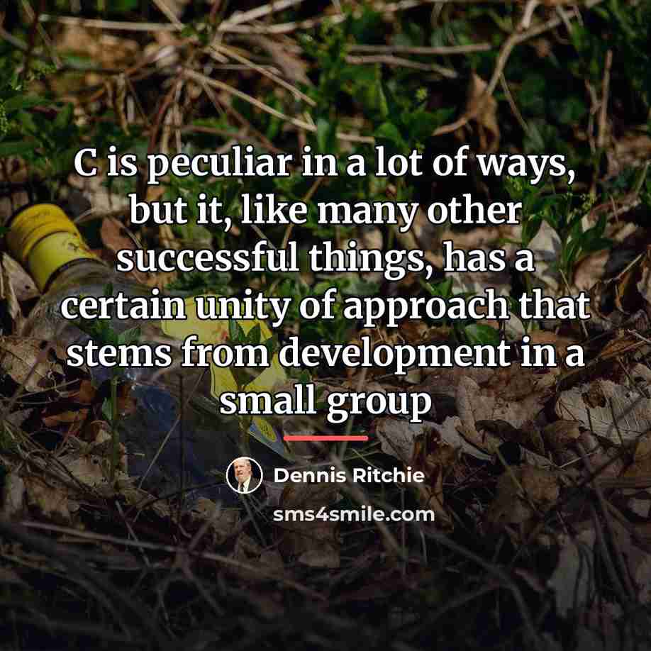 “C is peculiar in a lot of ways, but it,…” quote by Dennis Ritchie