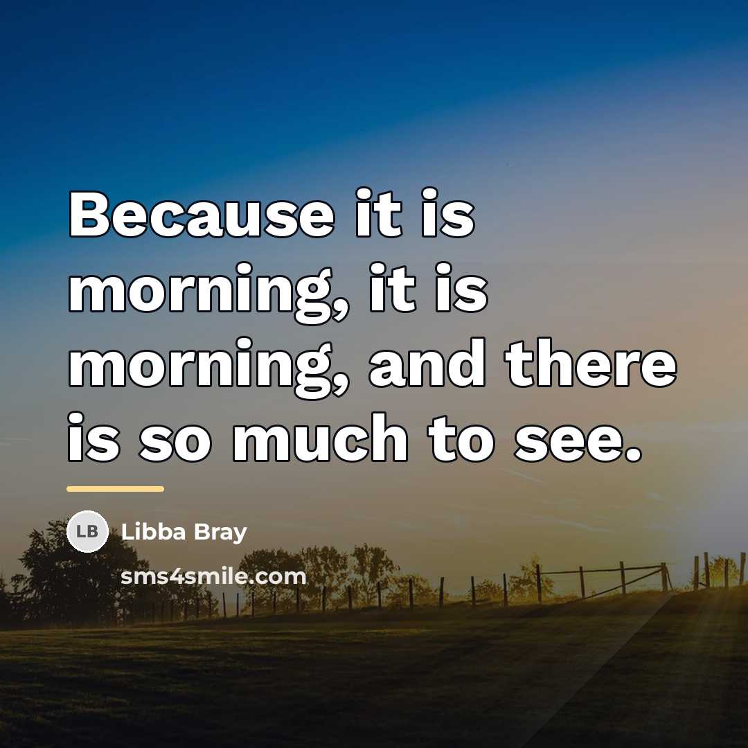“Because it is morning, it is morning, and there is…” quote by Libba Bray