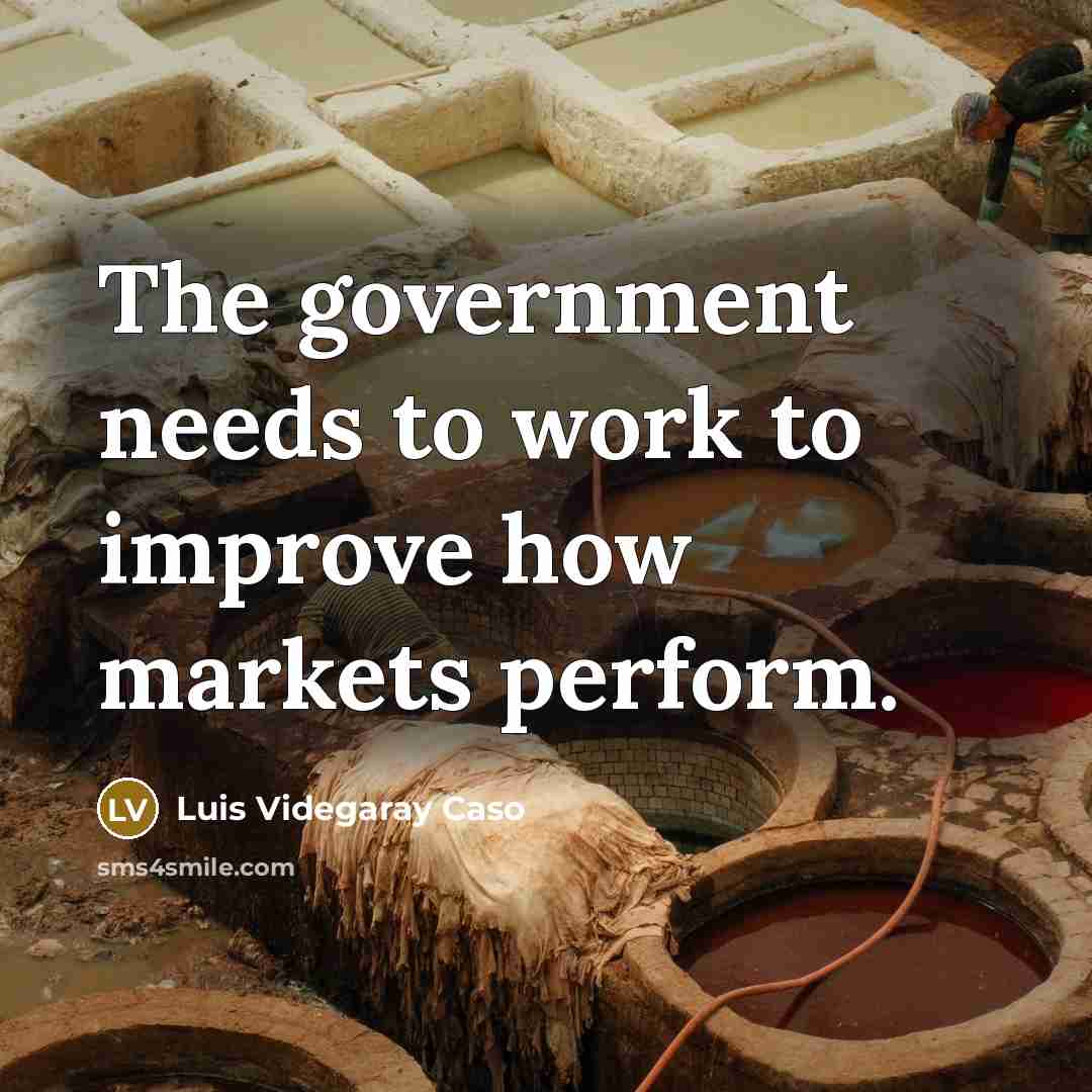 “The government needs to work to improve how markets perform.…” quote by Luis Videgaray Caso