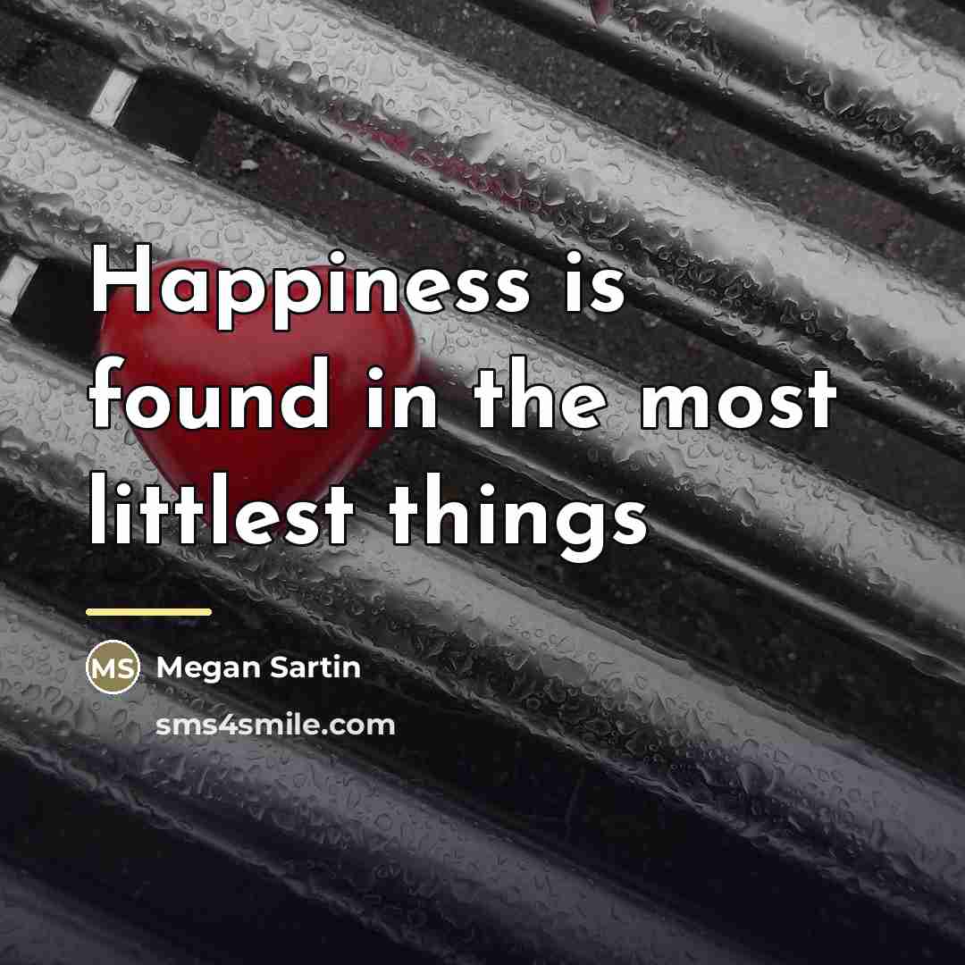 “Happiness is found in the most littlest things…” quote by Megan Sartin
