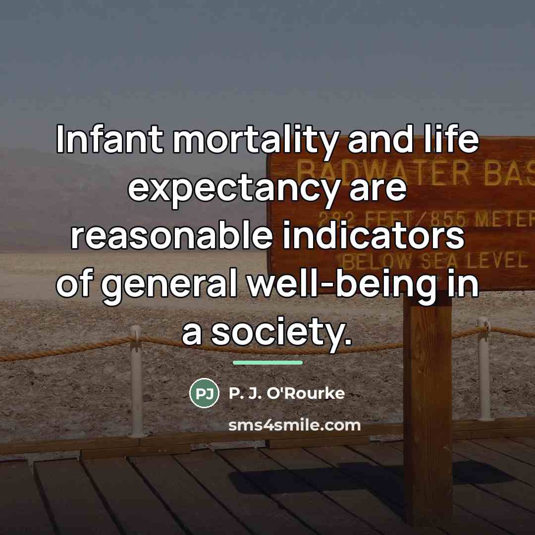 “Infant mortality and life expectancy are reasonable indicators of general…” quote by P. J. O'Rourke