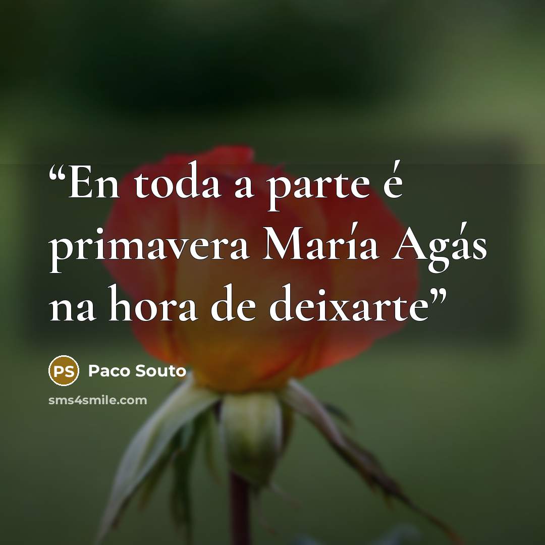 “En toda a parte é primavera María Agás na hora de deixarte” quote by Paco Souto