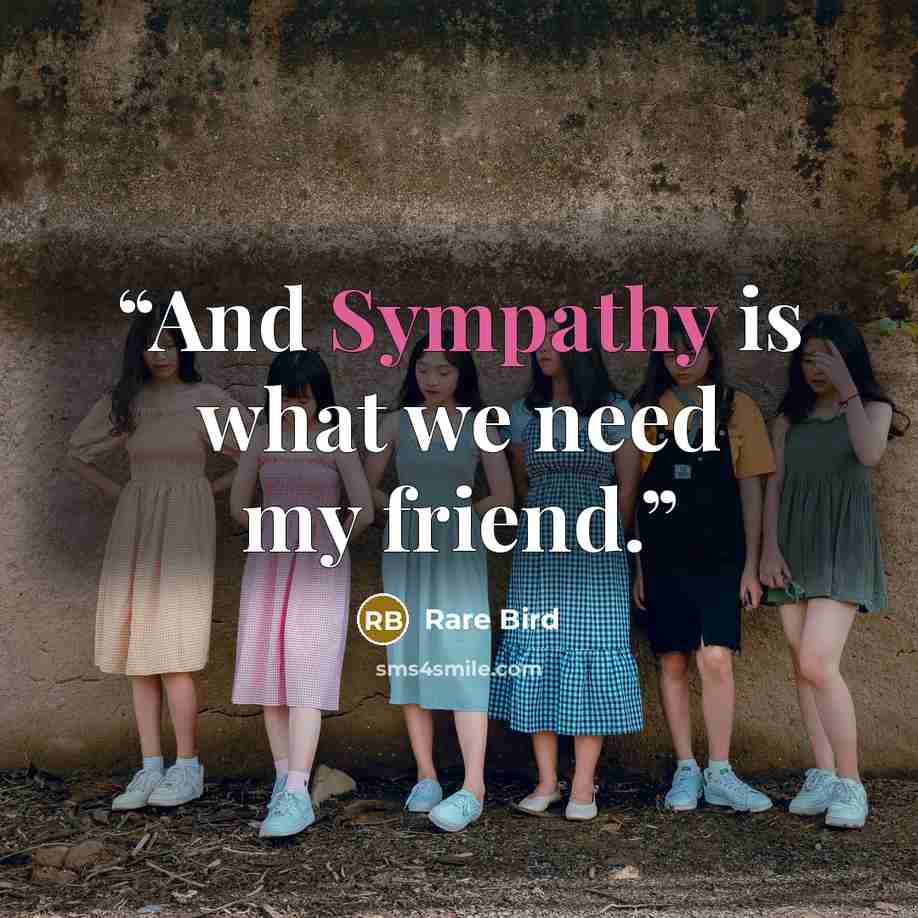 “And Sympathy is what we need my friend.” quote by Rare Bird