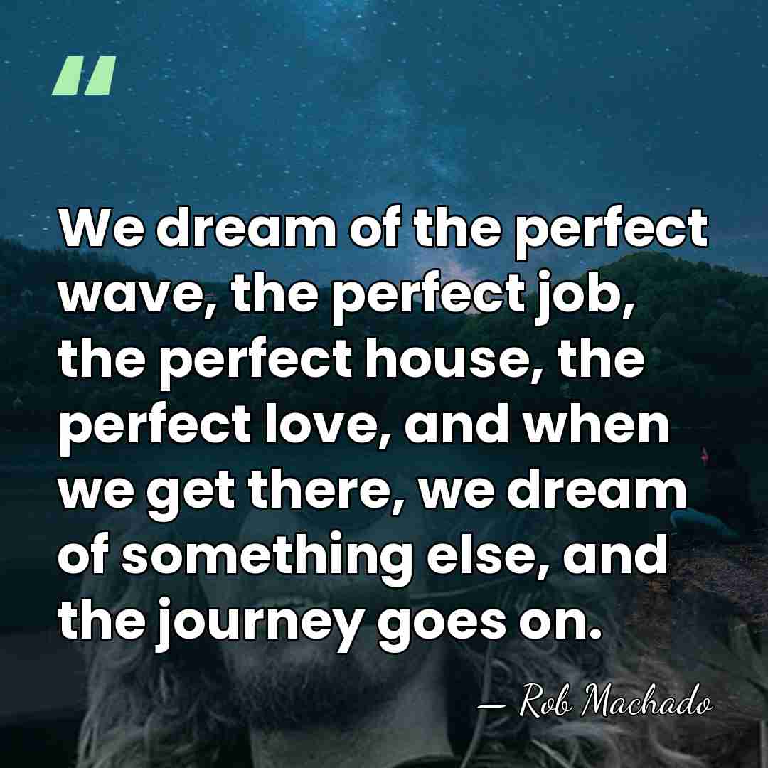We dream of the perfect wave, the perfect job, the perfect house,&hellip; - Rob Machado