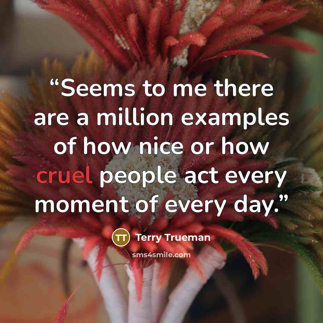 “Seems to me there are a million examples of how nice or how cruel people act every moment of every day.” quote by Terry Trueman