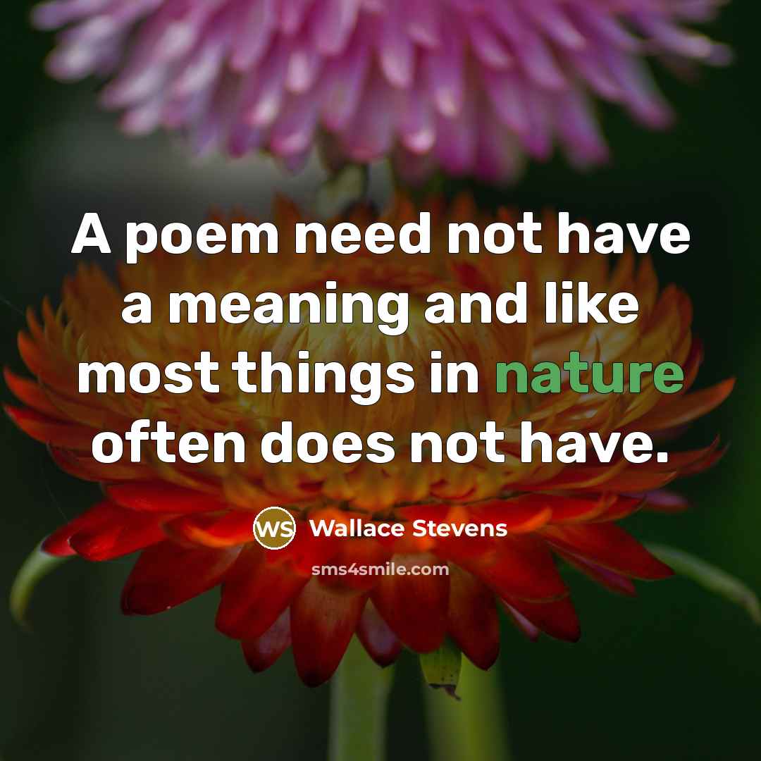 “A poem need not have a meaning and like most things in nature often does not have.” quote by Wallace Stevens