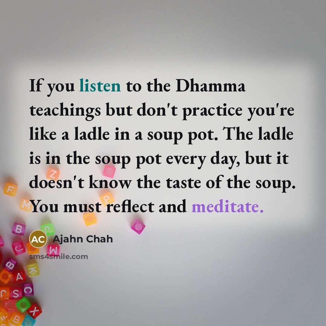 “If you listen to the Dhamma teachings but don't practice…” quote by Ajahn Chah