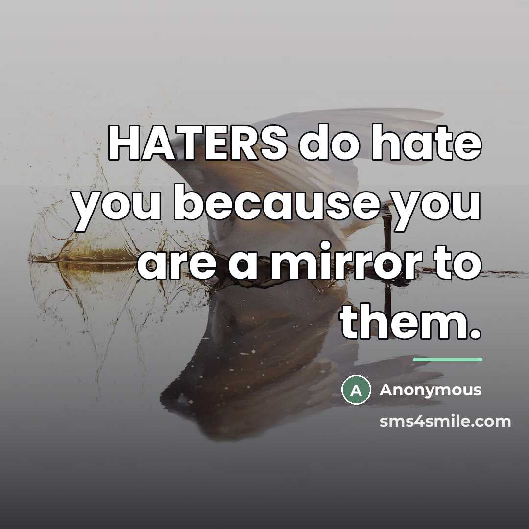 “HATERS do hate you because you are a mirror to…” quote by Anonymous
