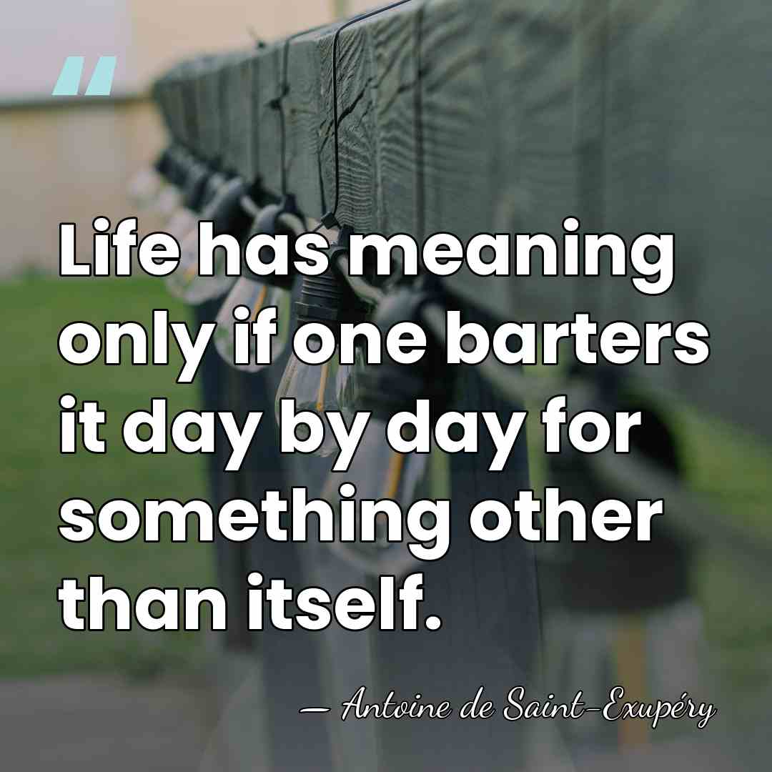 Life has meaning only if one barters it day by day for&hellip; - Antoine De Saint-Exupéry