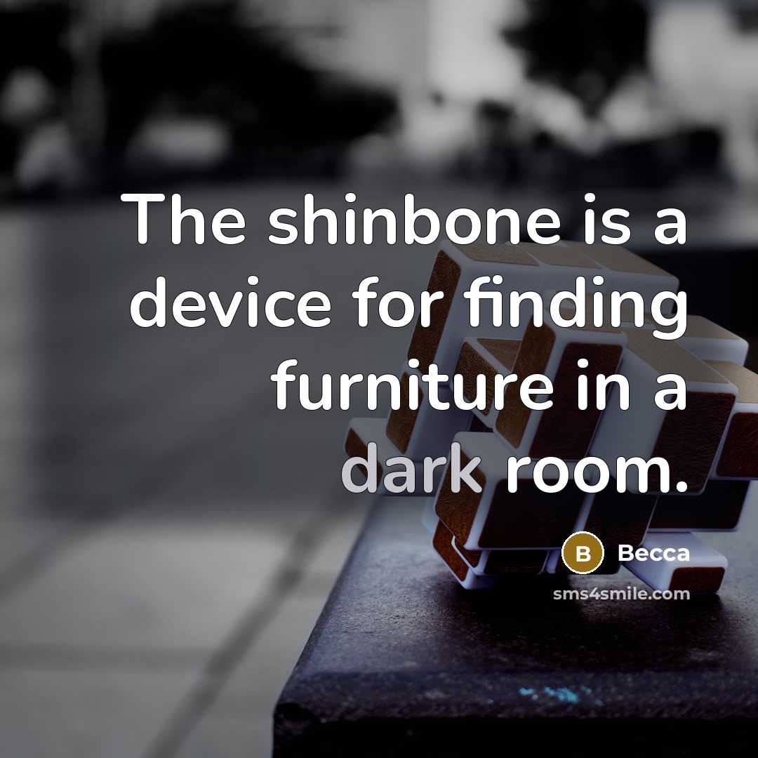 “The shinbone is a device for finding furniture in a…” quote by Becca