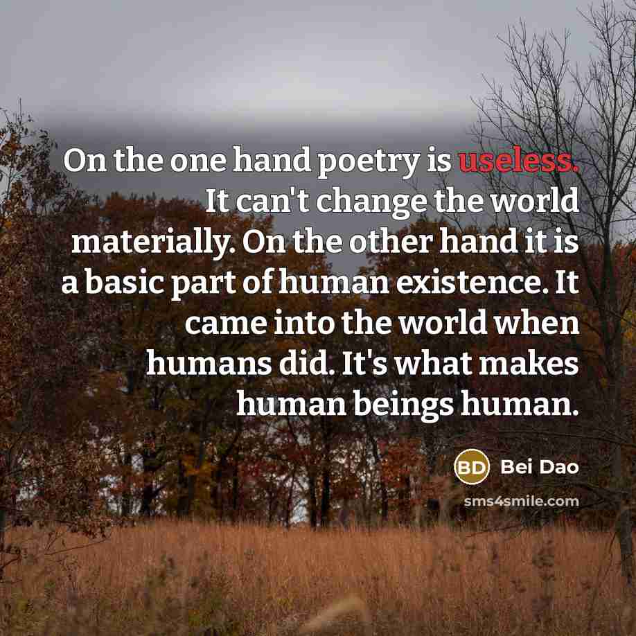 “On the one hand poetry is useless. It can't change…” quote by Bei Dao