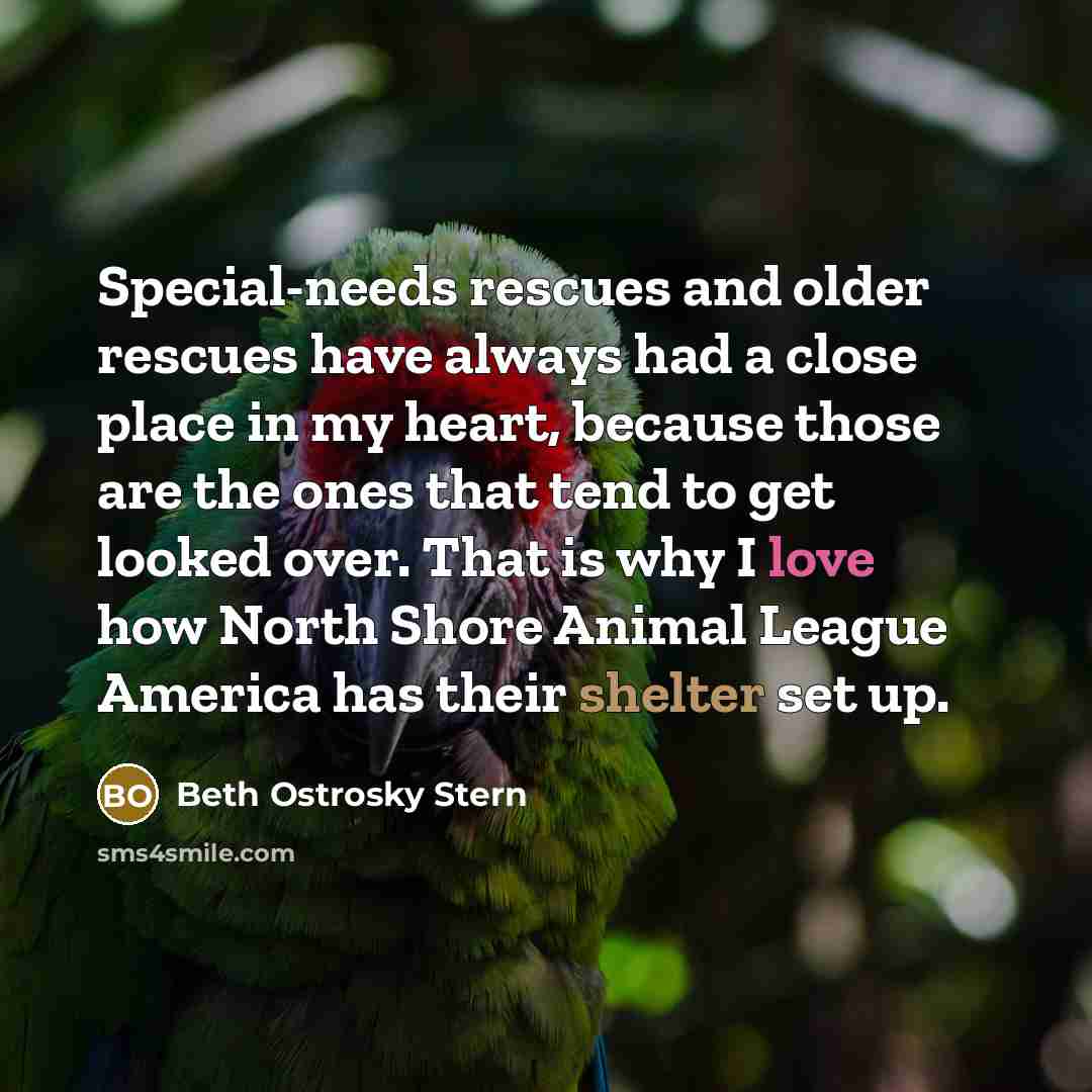 “Special-needs rescues and older rescues have always had a close…” quote by Beth Ostrosky Stern