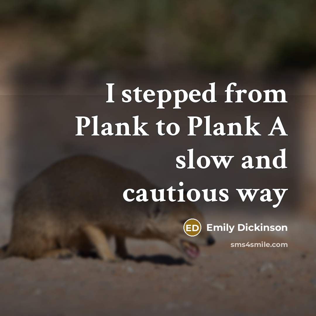 “I stepped from Plank to Plank A slow and cautious…” quote by Emily Dickinson