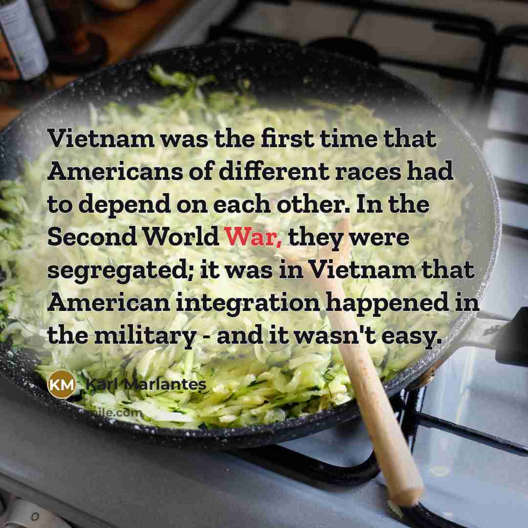 “Vietnam was the first time that Americans of different races…” quote by Karl Marlantes